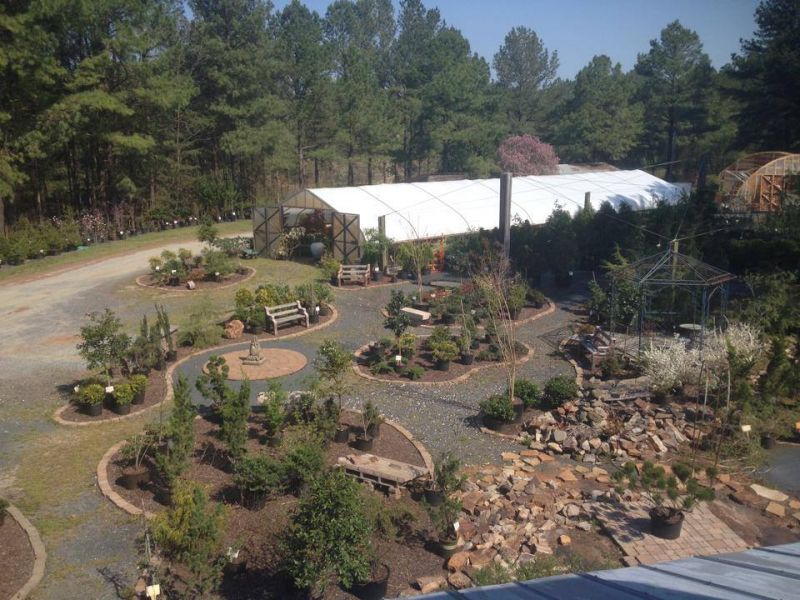 Toms Creek Nursery